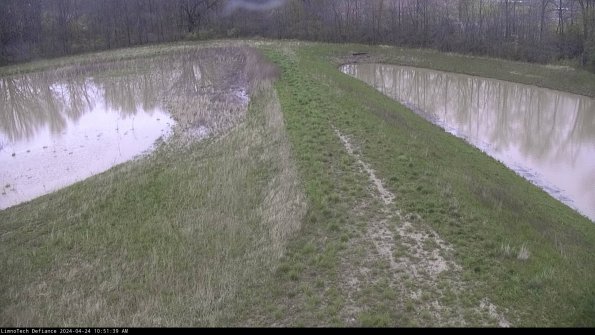 Cell 4 to Basin_24-04-24_10-51-40-31