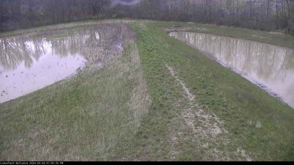 Cell 4 to Basin_24-04-24_13-05-37-35