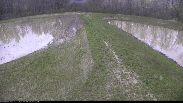 Cell 4 to Basin_24-04-24_14-46-03-33