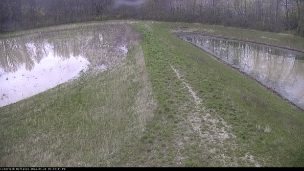 Cell 4 to Basin_24-04-24_17-33-32-31