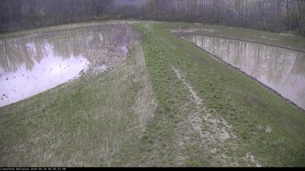 Cell 4 to Basin_24-04-24_18-40-33-32