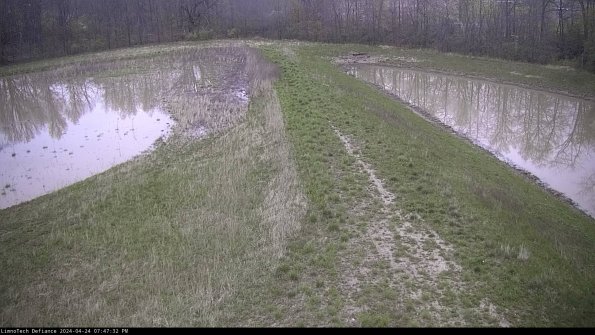 Cell 4 to Basin_24-04-24_19-47-33-35