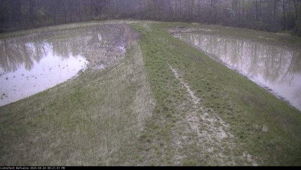 Cell 4 to Basin_24-04-24_20-21-02-36