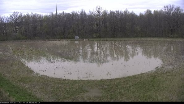 Cell 4_24-04-24_11-24-39-34