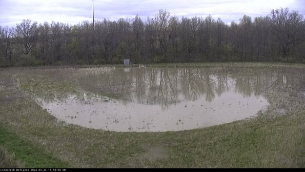 Cell 4_24-04-24_11-58-09-32