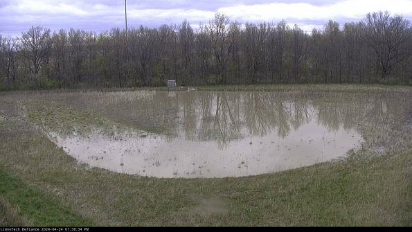 Cell 4_24-04-24_13-38-35-33