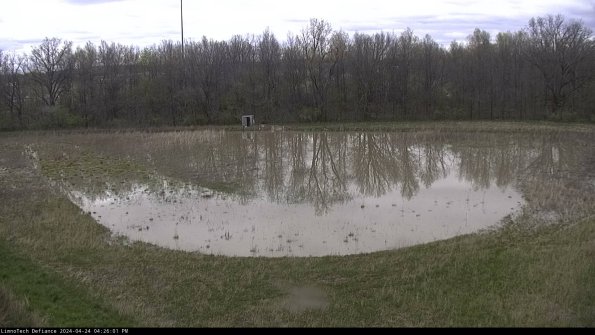 Cell 4_24-04-24_16-26-02-31