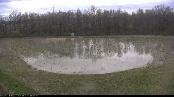 Cell 4_24-04-24_16-59-32-33