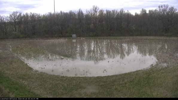 Cell 4_24-04-24_17-33-02-31