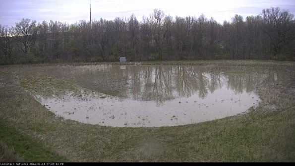 Cell 4_24-04-24_19-47-03-32