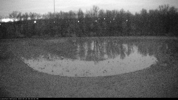 Cell 4_24-04-24_20-54-03-34