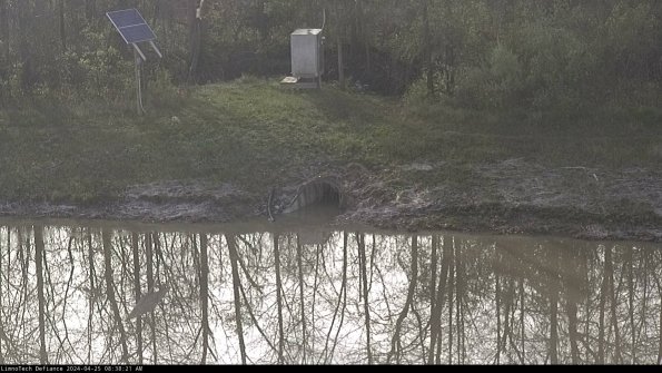 Basin Inflow_24-04-25_08-38-21-55