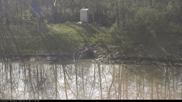 Basin Inflow_24-04-25_09-11-50-50