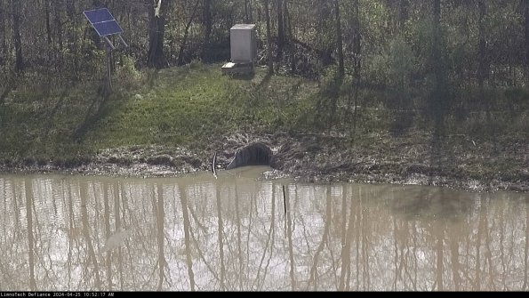 Basin Inflow_24-04-25_10-52-18-32