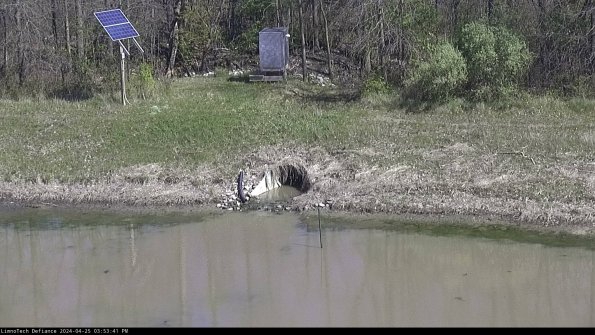 Basin Inflow_24-04-25_15-53-41-52