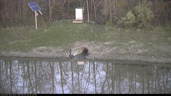 Basin Inflow_24-04-25_20-21-39-54