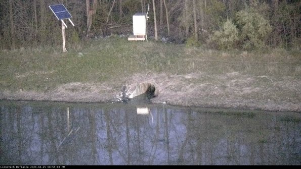 Basin Inflow_24-04-25_20-55-08-52