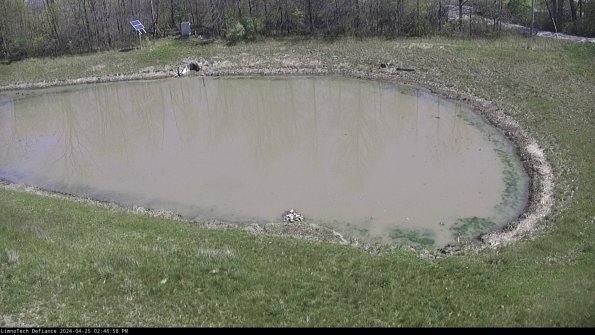 Basin Right_24-04-25_14-46-59-33