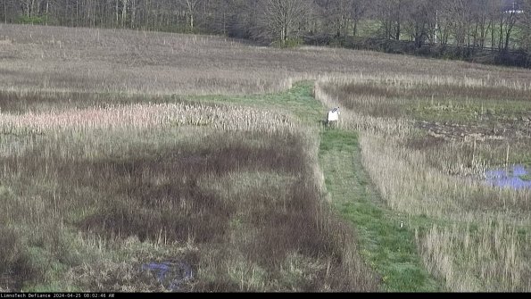 Cell 1 to 2_24-04-25_08-02-47-31