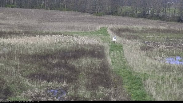 Cell 1 to 2_24-04-25_09-43-14-32