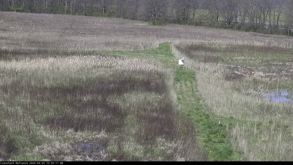 Cell 1 to 2_24-04-25_10-50-12-32