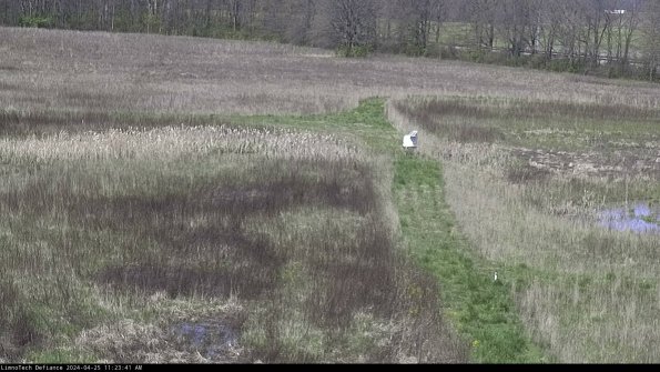 Cell 1 to 2_24-04-25_11-23-42-31