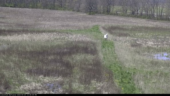 Cell 1 to 2_24-04-25_12-30-40-32