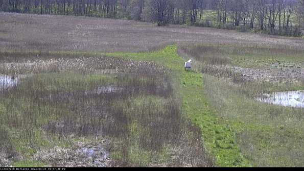 Cell 1 to 2_24-04-25_15-51-37-33