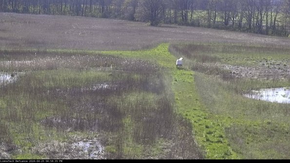 Cell 1 to 2_24-04-25_16-58-36-33