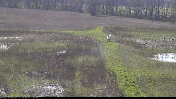 Cell 1 to 2_24-04-25_17-32-05-32