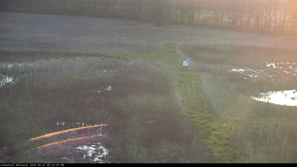 Cell 1 to 2_24-04-25_20-19-34-35