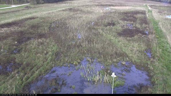 Cell 1_24-04-25_08-36-03-35