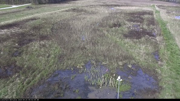 Cell 1_24-04-25_09-43-00-31