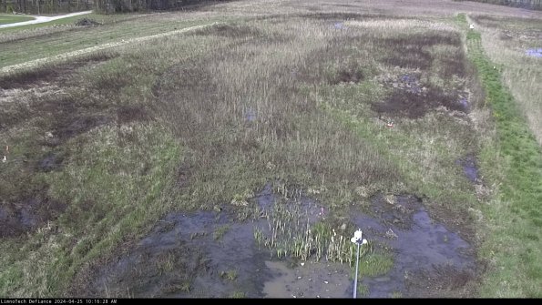 Cell 1_24-04-25_10-16-29-33