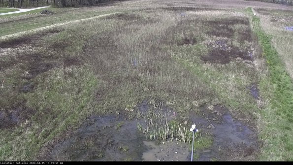 Cell 1_24-04-25_10-49-58-34