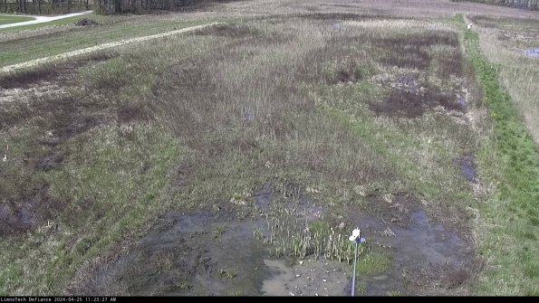 Cell 1_24-04-25_11-23-28-33