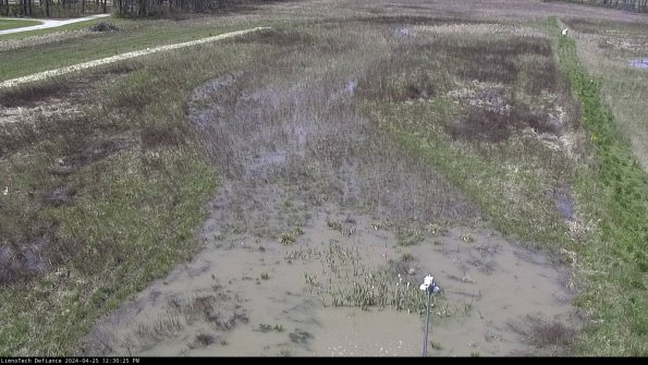 Cell 1_24-04-25_12-30-26-34