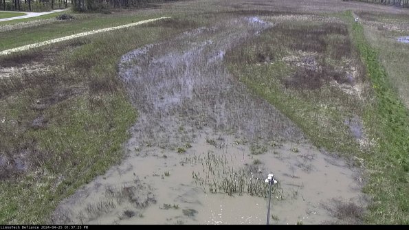 Cell 1_24-04-25_13-37-26-34