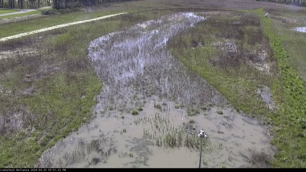 Cell 1_24-04-25_15-51-23-31