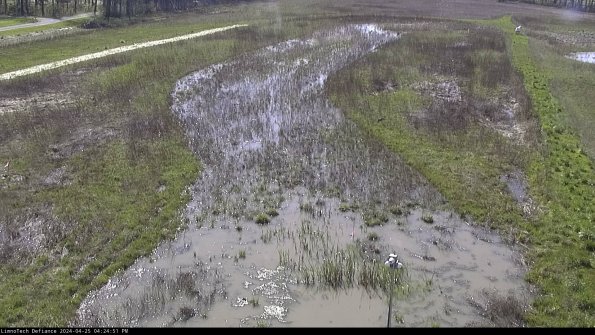 Cell 1_24-04-25_16-24-52-33