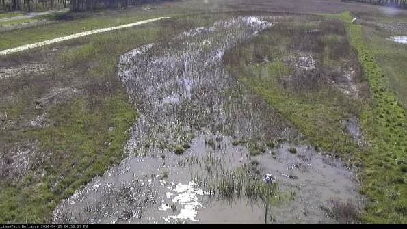 Cell 1_24-04-25_16-58-22-32