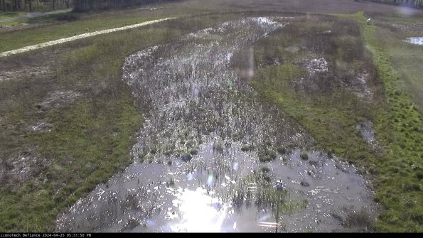 Cell 1_24-04-25_17-31-51-34