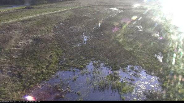 Cell 1_24-04-25_19-45-50-32