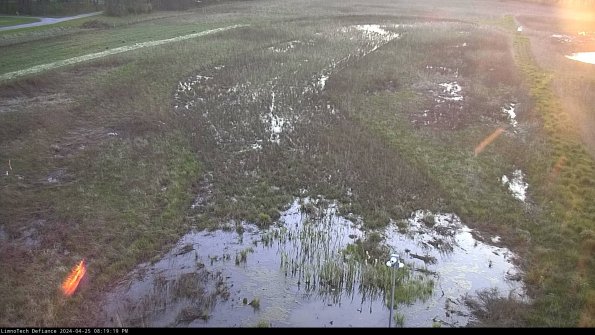 Cell 1_24-04-25_20-19-20-33