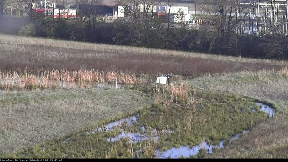 Cell 2 to 3_24-04-25_07-29-44-39