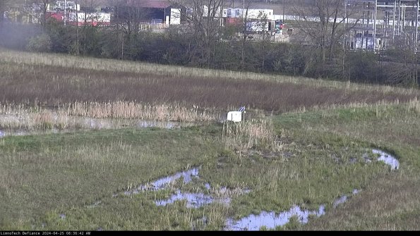 Cell 2 to 3_24-04-25_08-36-43-42