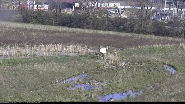 Cell 2 to 3_24-04-25_09-10-11-47