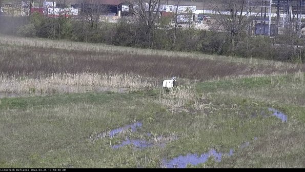 Cell 2 to 3_24-04-25_10-50-38-48