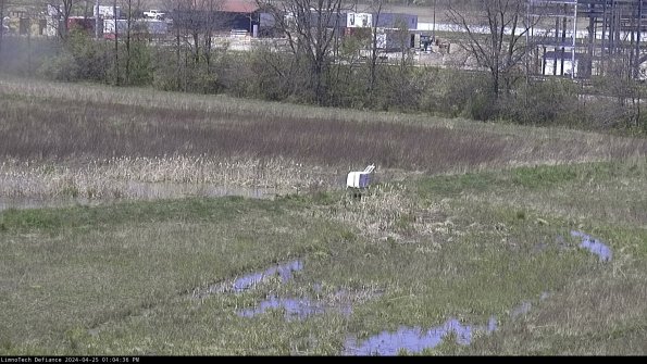 Cell 2 to 3_24-04-25_13-04-37-40