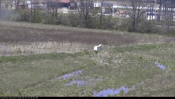 Cell 2 to 3_24-04-25_13-38-06-48